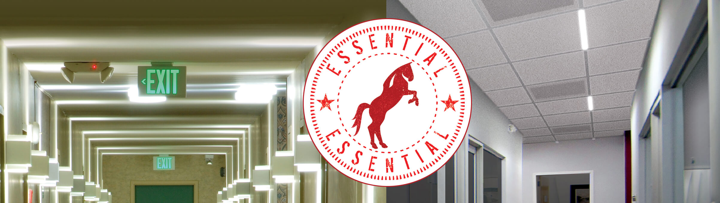 02-EMERGENCY-essential-header